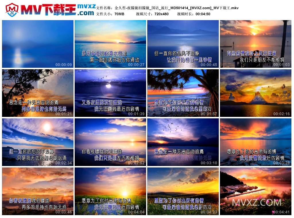 金久哲-夜朦胧泪朦胧_国语_流行_MD501414